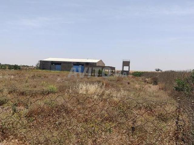 Terrain avec hangar de 600m2