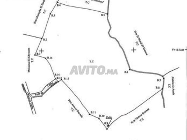 Terrain Avec Oliviers À Vendre 1 H 8200 M