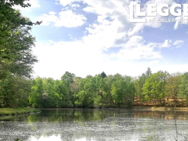 Terrain avec lac en pleine nature, au milieu de la forêt. Environnement magnifique