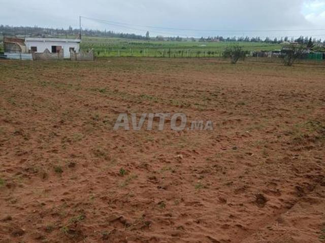 Terrain avec maison de ferme, terre pour ferme avec maison