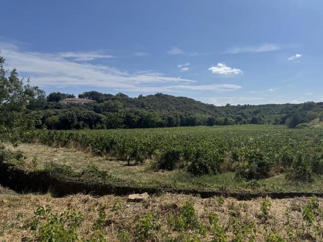 Terrain avec superbe vue à Faugères