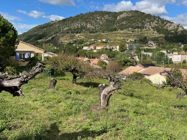 TERRAIN A ANDANCE