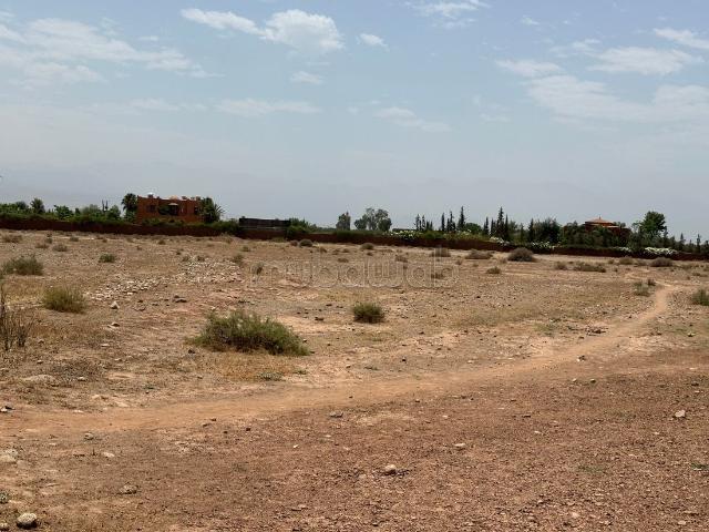Terrain à acheter à Sidi Abdallah Ghiat. Superficie 10500 m²