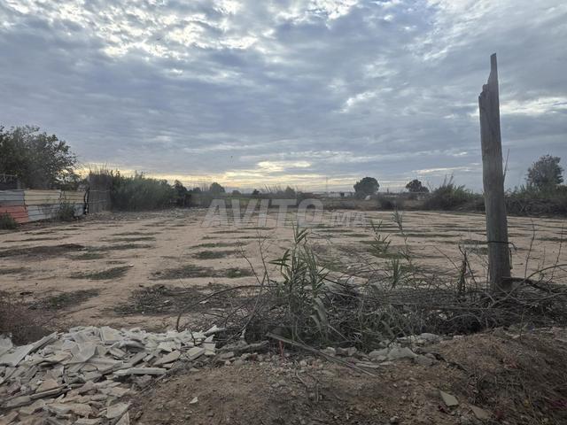 Terrain à Akhlij, superficie d'environ un quart d'hectare