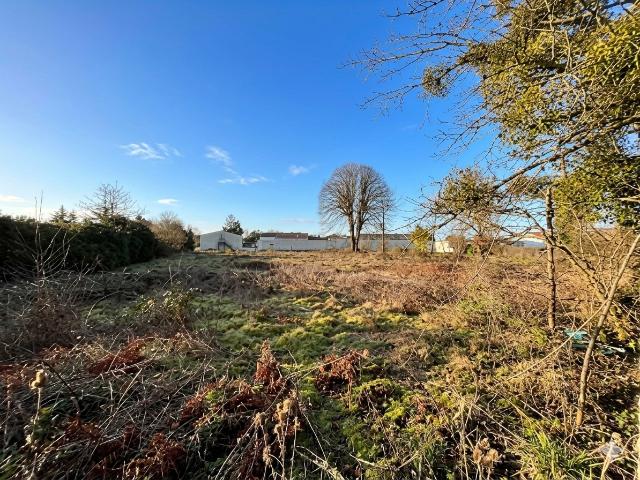 Terrain constructible de 3 998 m2