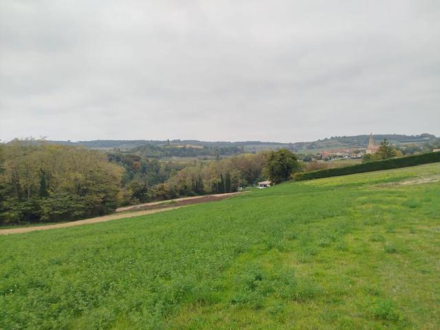 Terrain à bâtir