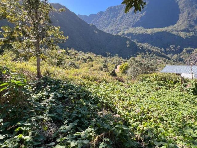 Terrain à bâtir