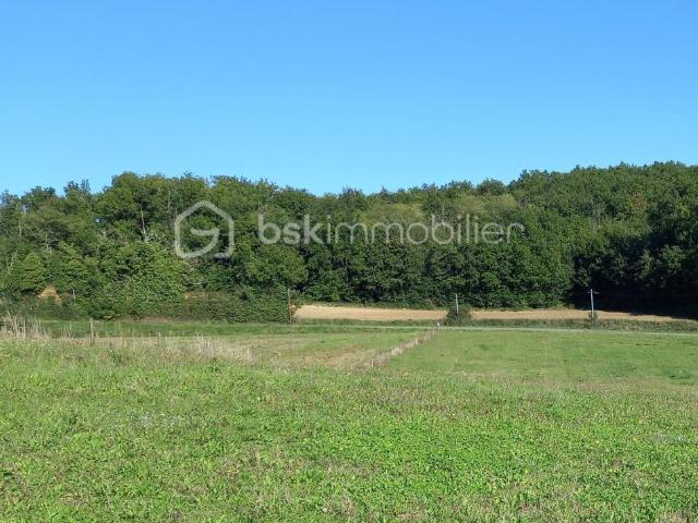 Terrain à bâtir 1800 m2 viabilisé