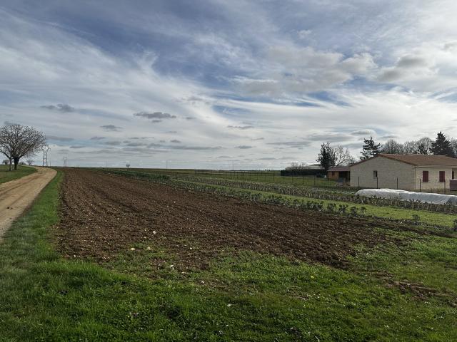 Terrain à bâtir 2665m2