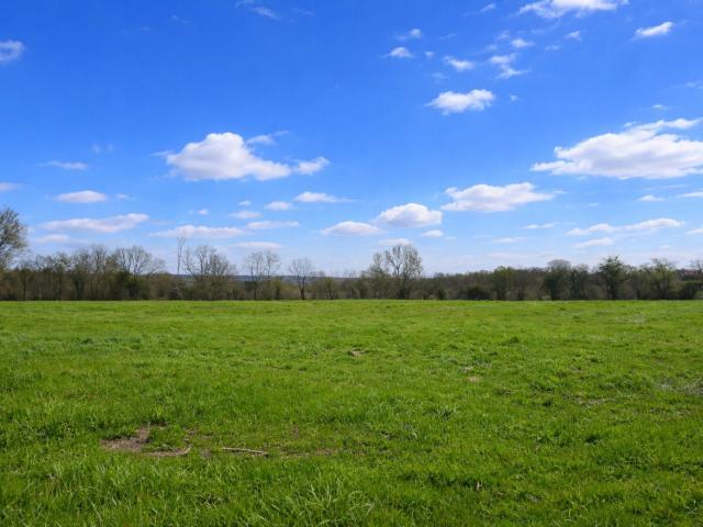 Terrain à bâtir