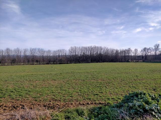 Terrain à bâtir