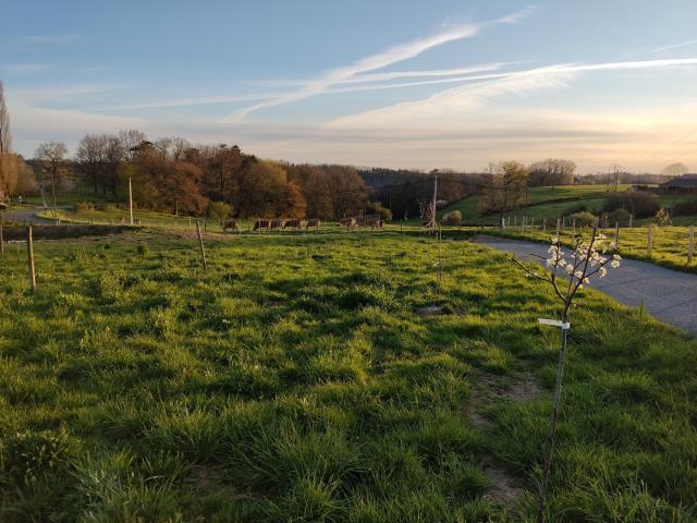 Terrain à bâtir