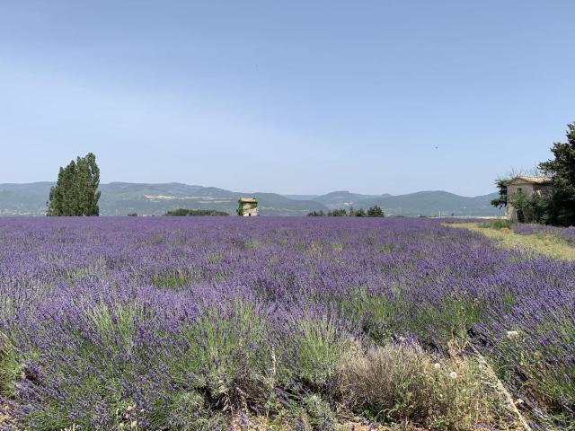 Terrain à bâtir 290 m²: Montélimar Nord Les Clées