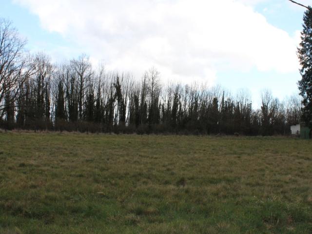 TERRAIN A BATIR