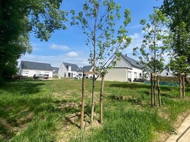 TERRAIN A BATIR 362M² PLUVIGNER