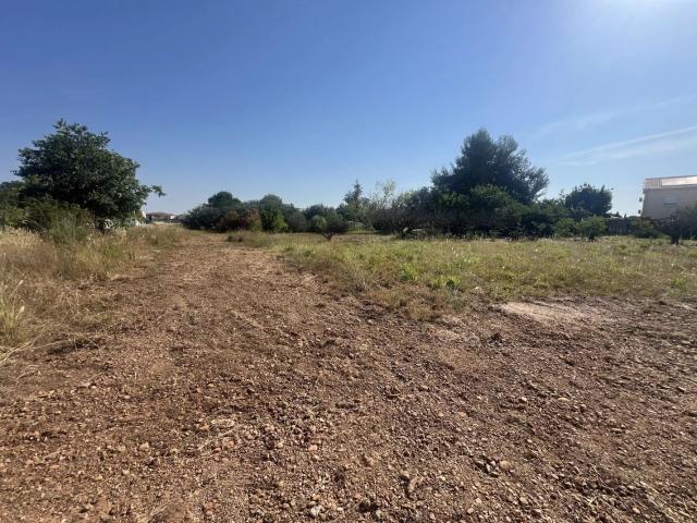 Terrain A BATIR
