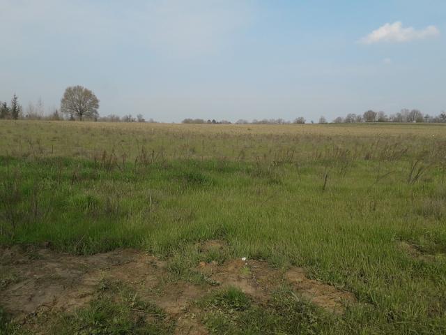 TERRAIN A BATIR