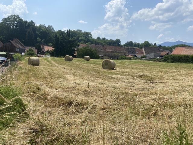 Terrain à bâtir