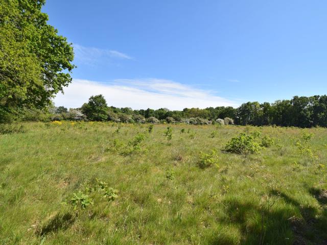 Terrain à bâtir