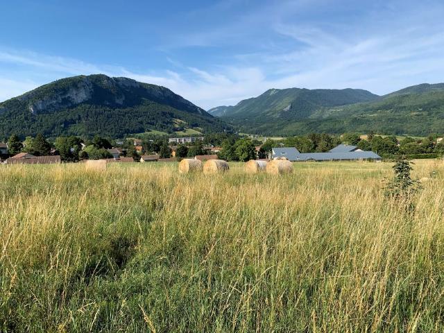Terrain à bâtir