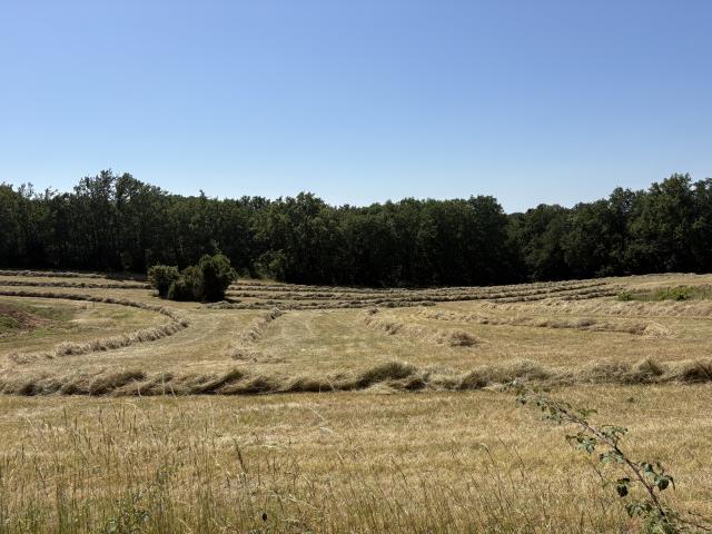 Terrain à bâtir