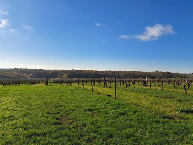 Terrain à bâtir