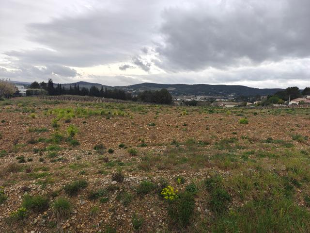 Terrain à batir