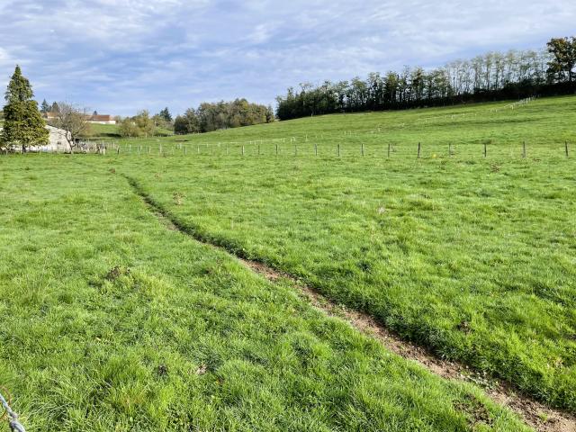 TERRAIN A BATIR 792 M2