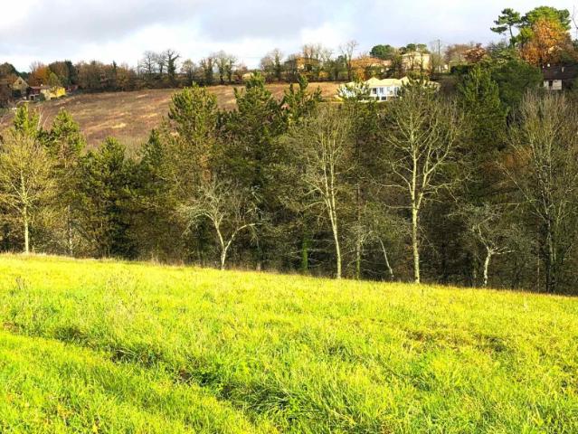 TERRAIN A BATIR COURSAC