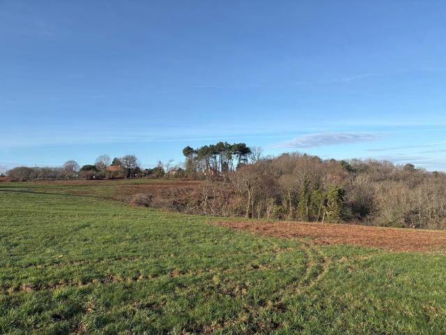 TERRAIN A BATIR COURSAC