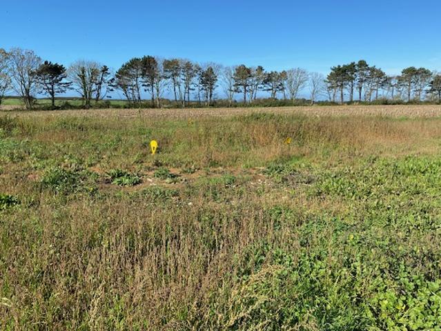 TERRAIN A BATIR CAUVILLE SUR MER