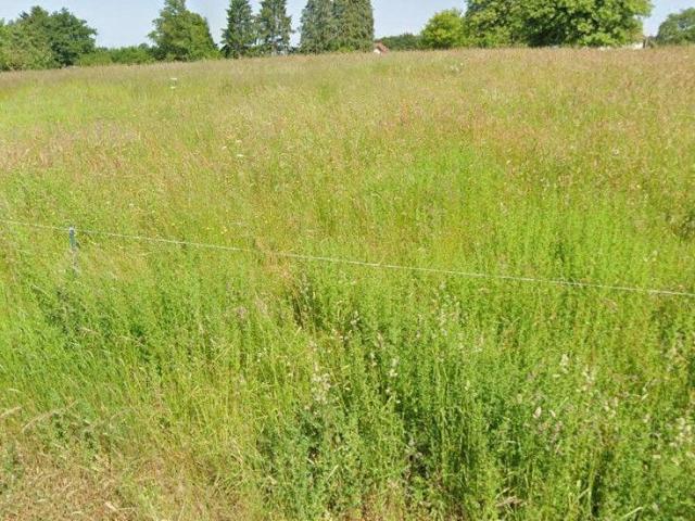 Terrain à bâtir à vendre à Uzemain 88220