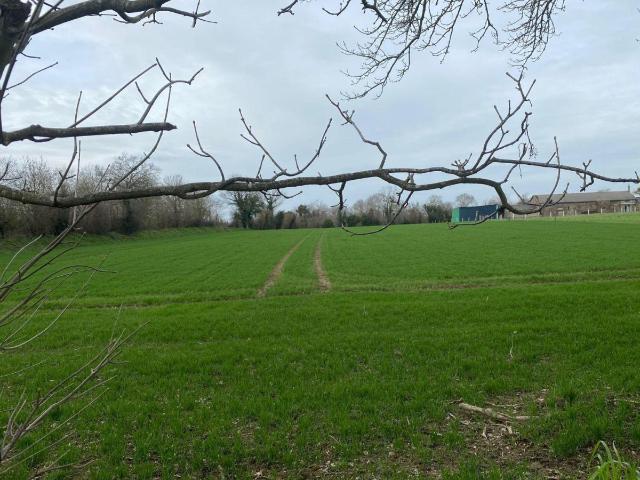Terrain à bâtir à vendre à Vire Normandie 14500