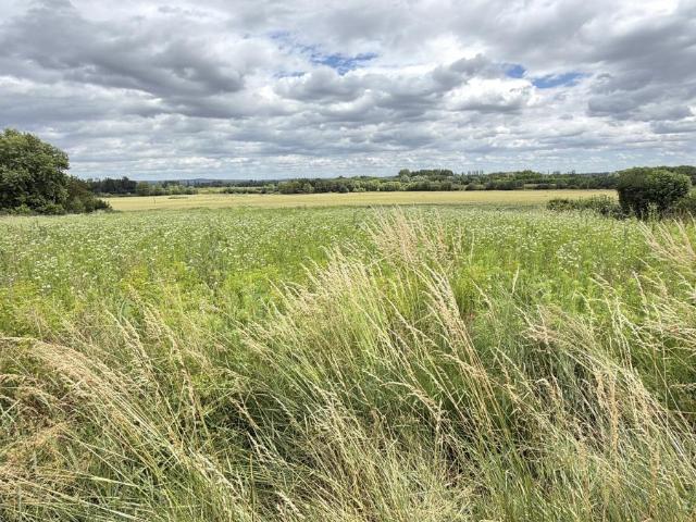 Terrain à bâtir à vendre à Athée 21130