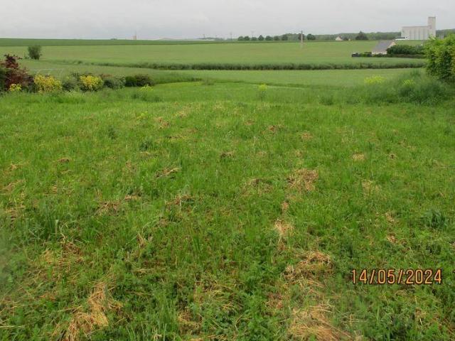 Terrain à bâtir à vendre à Bisseuil 51150