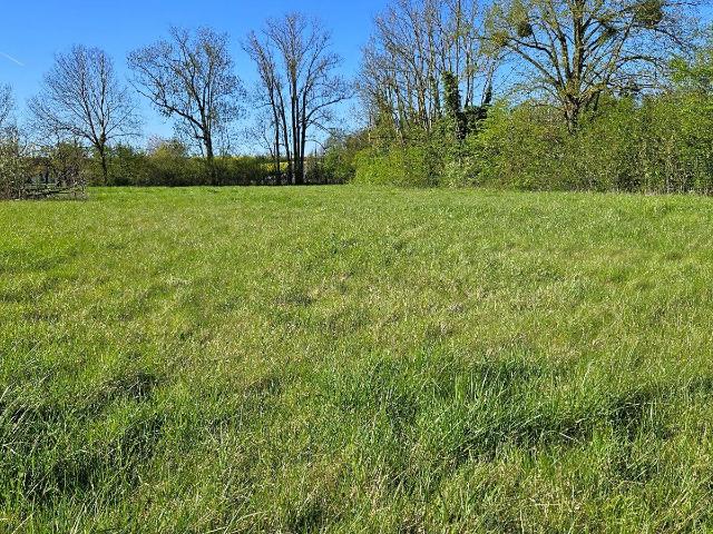 Terrain à bâtir à vendre à Brandonvillers 51290