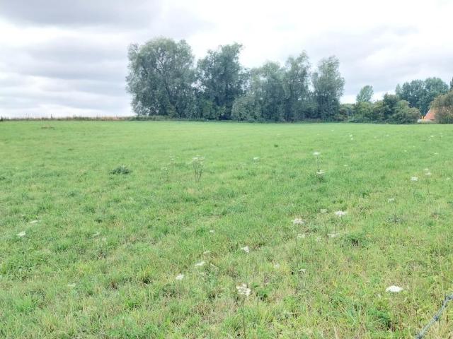 Terrain à bâtir à vendre à Camblain l'Abbé 62690