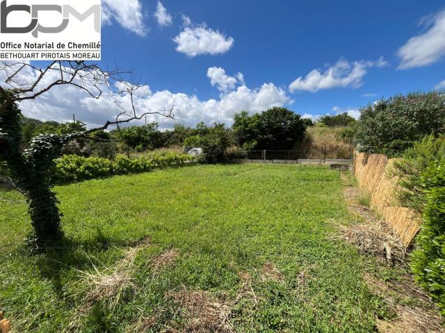 Terrain à bâtir à vendre à Chalonnes sur Loire 49290
