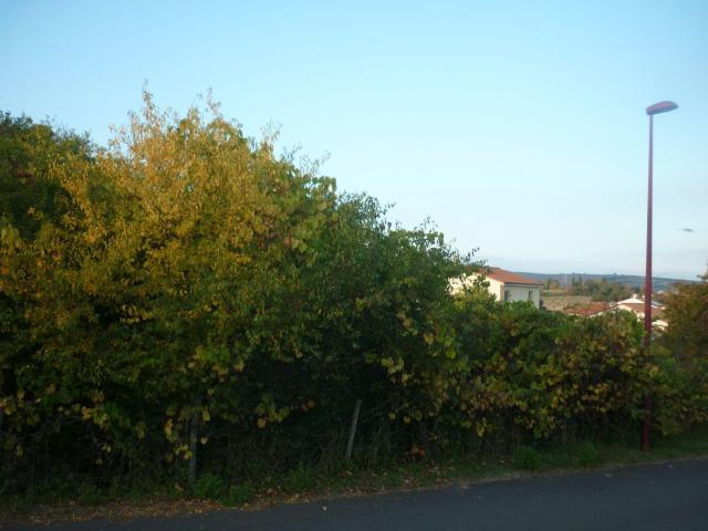 Terrain à bâtir à vendre à Champeix 63320