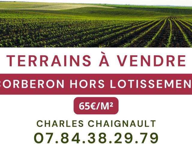 Terrain à bâtir à vendre à Corberon 21250
