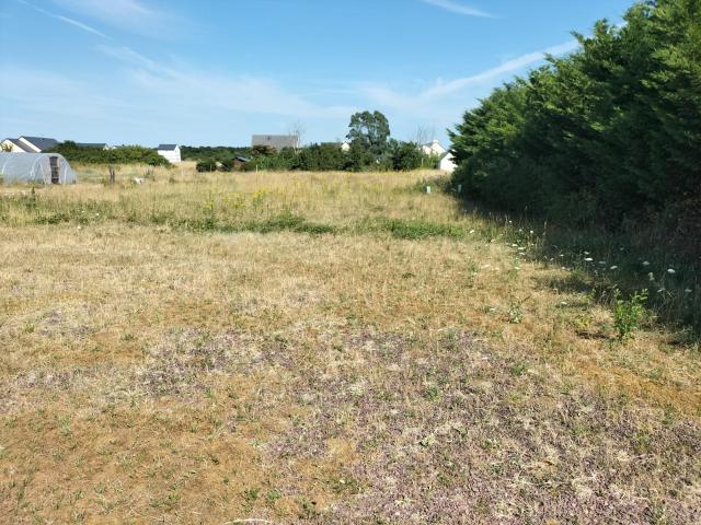 Terrain à bâtir à vendre à Créances 50710