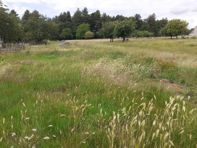 Terrain à bâtir à vendre à Écommoy 72220