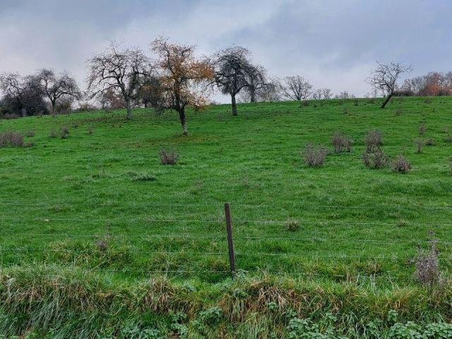 Terrain à bâtir à vendre à Faissault 08270