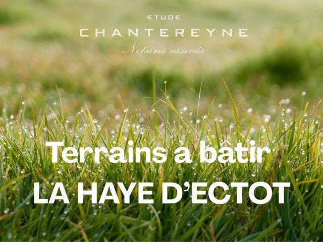 Terrain à bâtir à vendre à La Haye d'Ectot 50270