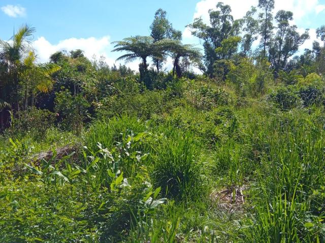 Terrain à bâtir à vendre à La Plaine des Palmistes 97431