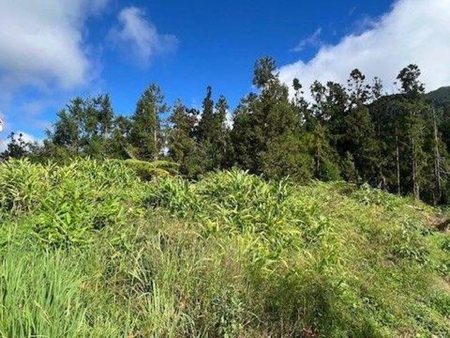 Terrain à bâtir à vendre à La Plaine des Palmistes 97431