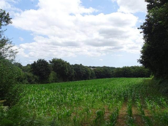 Terrain à bâtir à vendre à Landivisiau 29400