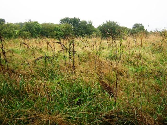 Terrain à bâtir à vendre à Locmalo 56160