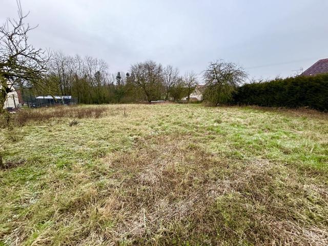 Terrain à bâtir à vendre à Louvencourt 80560