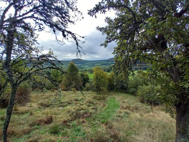 Terrain à bâtir à vendre à Murat 15300